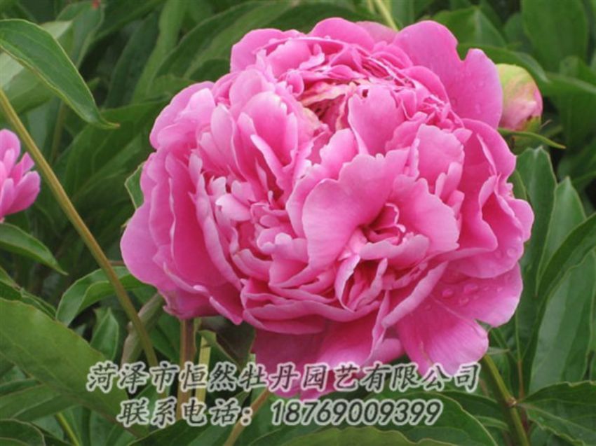 點(diǎn)擊查看詳細(xì)信息<br>標(biāo)題：月照山河 閱讀次數(shù)：1136